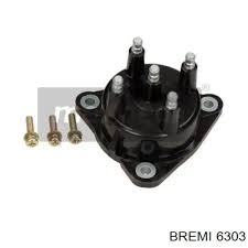 Piloto 173.00 Rinder